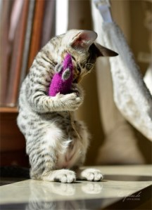 tumblr_mod82rWae11rmse6co1_1280